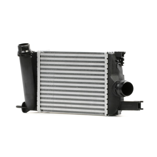 DACIA Extreme 65 HP Elektro Interkūlers OEM 14461B680C no STARK tiešsaistē par lieliskām cenām
