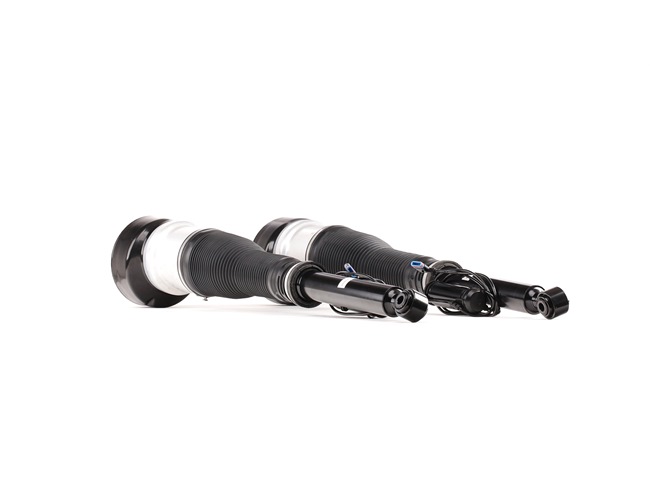 Cumpărați online Amortizor pneumatic SKAST-1860031 original/ă și la un preț mic, compatibil/ă cu nr. OEM 2213205513