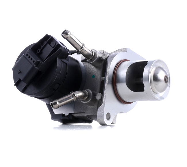 OEM Válvula EGR BMW 1.6 105 CV Gasolina 11717805447 de PIERBURG online a precios inmejorables