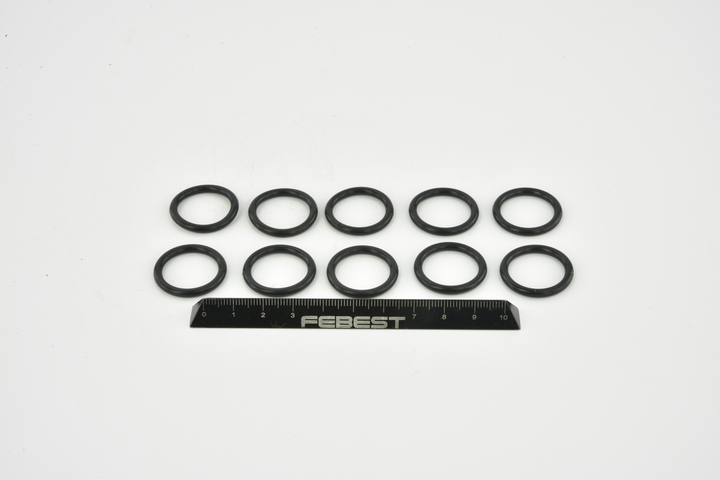 RINGFL-041-PCS10 FEBEST Wärmeschutzscheibe X5 (E70) 4.8i xDrive 355 PS Benzin