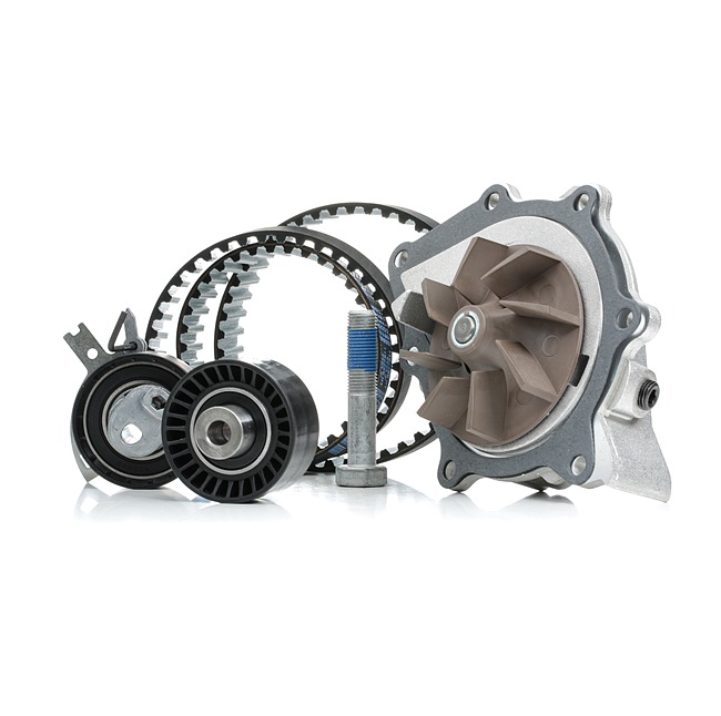 OEM Kit cinghia distribuzione, pompa acqua FORD 2.0 TDCi 150 CV Diesel 0816K5 da RIDEX online ad un ottimo prezzo