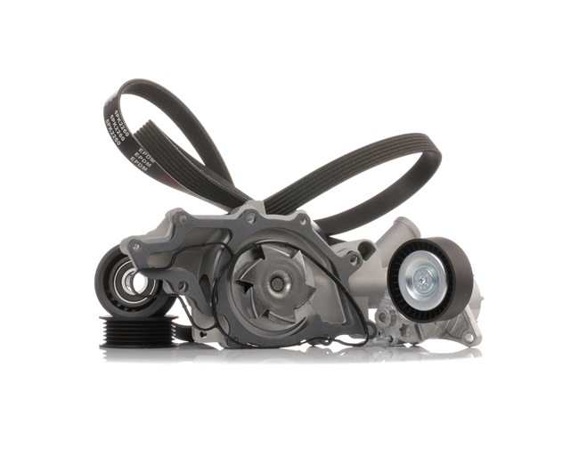 OEM Αντλία νερού + σετ ιμάντων poly-V MERCEDES-BENZ E 220 CDI 2.2 (211.208) 170 PS Πετρέλαιο 6462000301 από την RIDEX ηλεκτρονικά σε χαμηλές τιμές