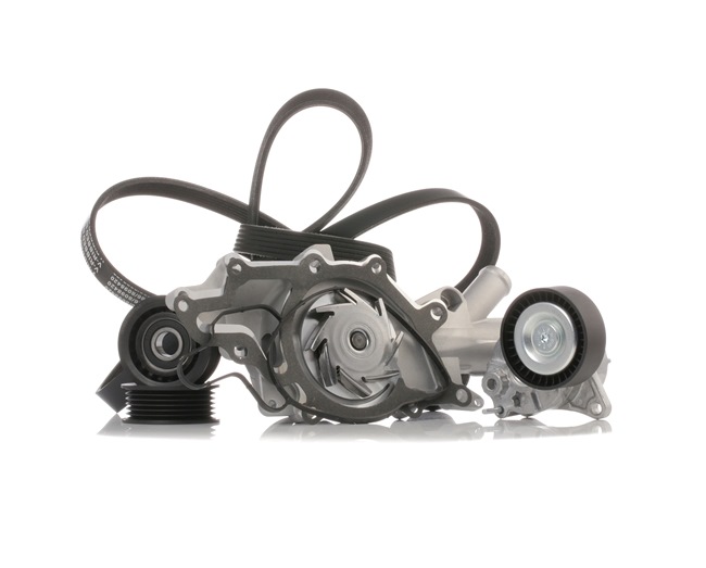 OEM Waterpomp + Multi V-riemset MERCEDES-BENZ 511 CDI 2.2 (906.153, 906.155, 906.253) 109 PK Diesel van RIDEX online aan verbazingwekkende prijzen