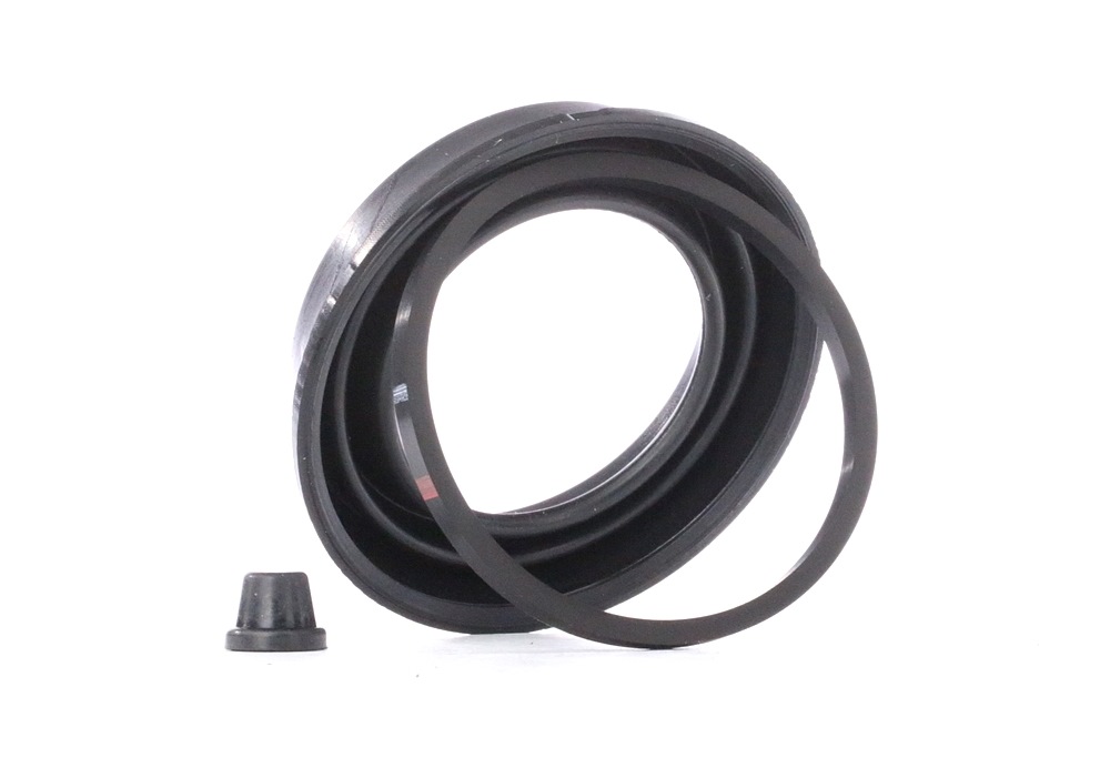 Ostke RIDEX Remondikomplekt, Pidurisadul Toode nr.: 405R0119 madala hinnaga 7,02 €