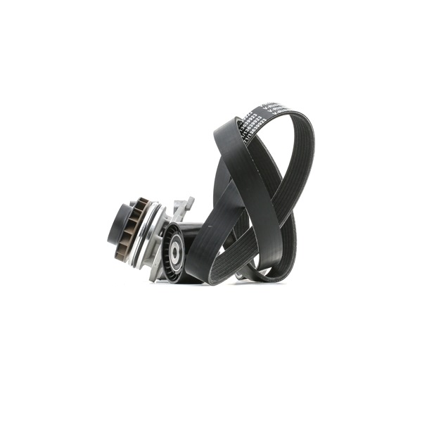 OEM Waterpomp + Multi V-riemset RENAULT 2.0 dCi 163 PK Diesel 1172000Q1C van RIDEX online aan geweldige prijzen