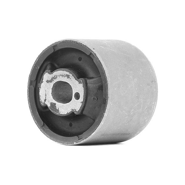 RIDEX Vlezajenje, Telo osi 1080M0066