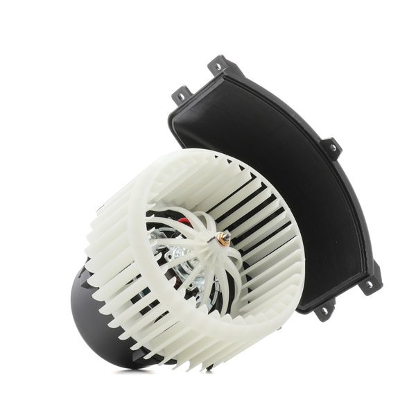 RIDEX 2669I0184 pulseur d'air VW Multivan T5 7HM, 7HN, 7HF, 7EF, 7EM, 7EN 2.0 TDI 4motion 140 CH Diesel
