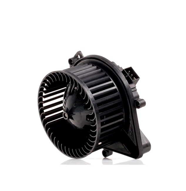Audi A4 8h 2004 Orpūtė / dalys RIDEX OEM 8E1820021A, 8E1820021B, 8E1820021E
