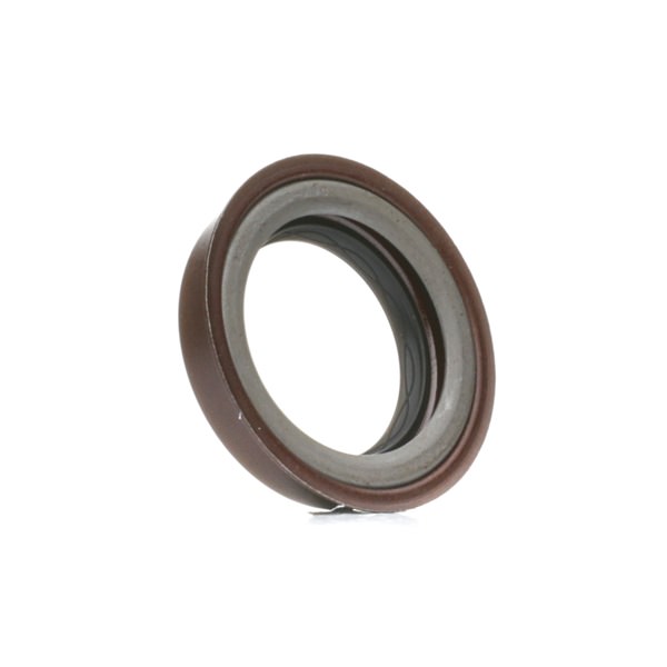 OEM Anello tenuta, Differenziale per FORD 1.6 Ti 125 CV Benzina 002301227E da RIDEX online ad un ottimo prezzo