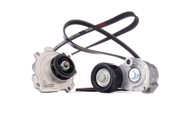 OEM Waterpomp + Multi V-riemset OPEL 1.6 (F08, F48) 103 PK Benzine 1334142 van RIDEX online aan geweldige prijzen