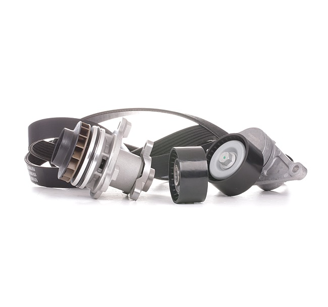 Koop online goedkoop originele Waterpomp + Multi V-riemset 4172P0038 vergelijkbaar met 8200357406 OEM-nummers