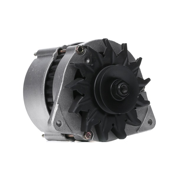 FORD 1.3 i 50 HP Petrol Alternator OEM 1005308 from RIDEX REMAN online zu günstigen Preisen