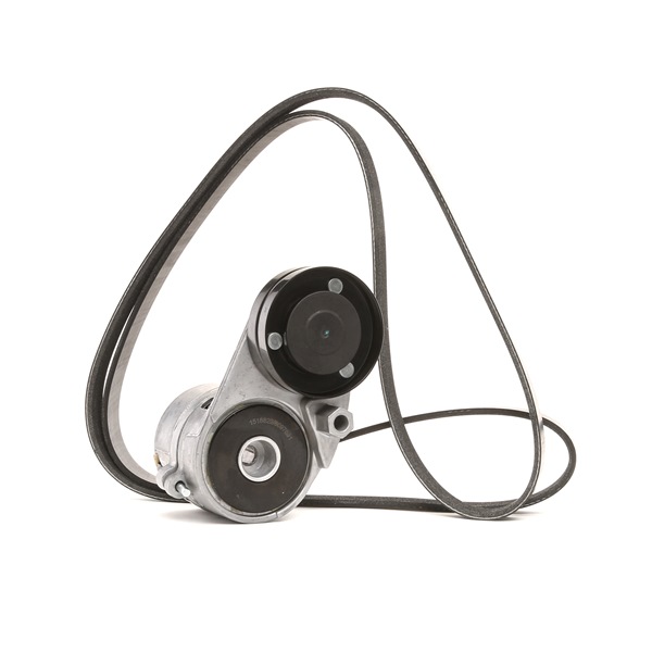 OEM Poly V-riem set AUDI 2.4 170 PK Benzine van RIDEX online aan geweldige prijzen