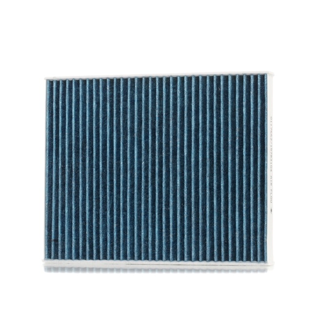 Ostke odavaid originaale Filter, salongiõhk SKIF-0170507 mis on võrreldavad 2495322 OEM numbritega internetis