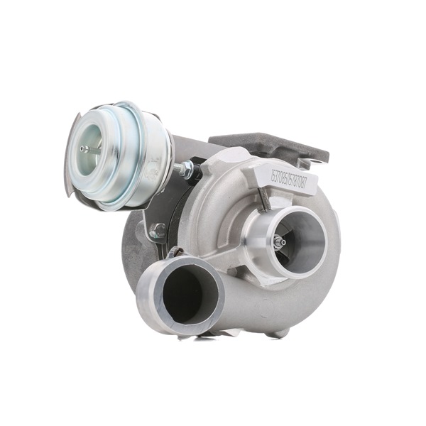 OEM Turbodmychadlo FIAT 1.9 JTD 115 HP Diesel 46786078 od RIDEX online za výborné ceny