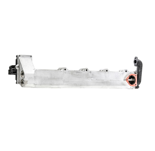 RIDEX REMAN Modul-EGR 4198E0009R