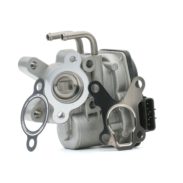 RENAULT 2.3 dCi 100 FWD (FV0A, FV0B, FV0G, FV0K, FV0H) 101 AG dyzelinas ERG vožtuvas OEM 06J080127 iš RIDEX internetu puikiomis kainomis
