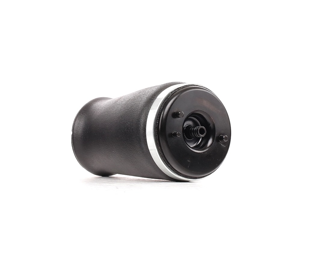Köp RIDEX Luftfjäderben Produktnummer: 4118A0065 till det förmånliga priset av 1554,96 kr