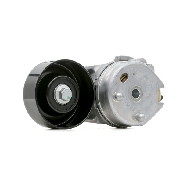 Poulie de courroie d'accessoire JAGUAR XK 2004 310T0359 de RIDEX