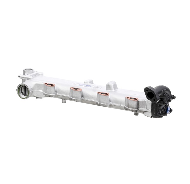 RIDEX REMAN Modul-EGR 4198E0010R