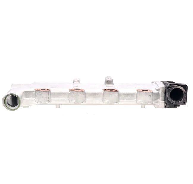 RIDEX REMAN Modul-EGR 4198E0011R