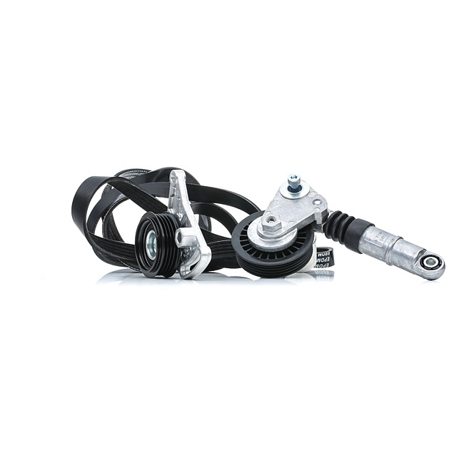 OEM Poly V-riem set AUDI 1.9 TDI 130 PK Diesel van RIDEX online aan geweldige prijzen