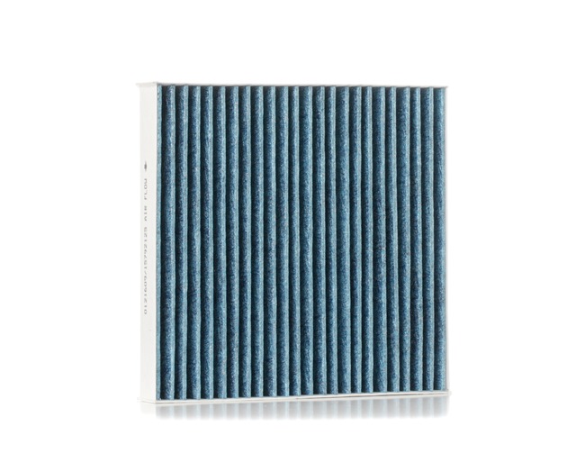 Įsigykite nebrangią originalią Salono filtras SKIF-0170599. sulyginama su A22002300 OEM numeriais internetu