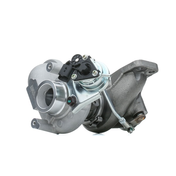 Įsigykite nebrangią originalią Turbokompresorius 2234C10087. sulyginama su 2008128 OEM numeriais internetu