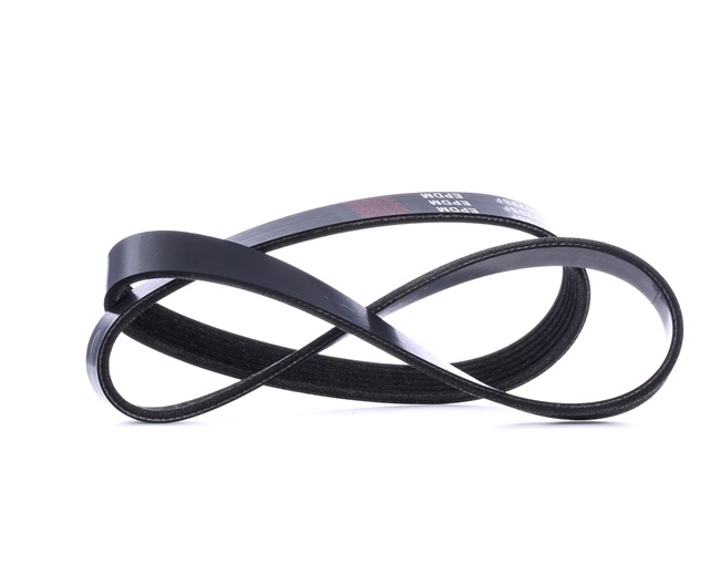 OEM Serpentine belt FORD 1.6 Flex 101 HP Petrol/Ethanol 1138524 from RIDEX online at great prices