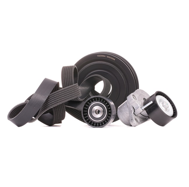 OEM Poly V-riem set RENAULT 2.0 dCi (JK03, JK04, JK1C, JK1G, JK1J, JK1K) 173 PK Diesel van RIDEX online aan geweldige prijzen
