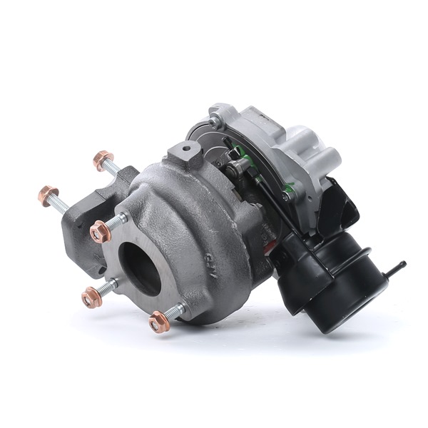 OEM Turbocharger RENAULT 1.6 E-TECH 160 (B9NH) 160 PK Benzine/Elektro 1441100Q2J van RIDEX REMAN online aan geweldige prijzen