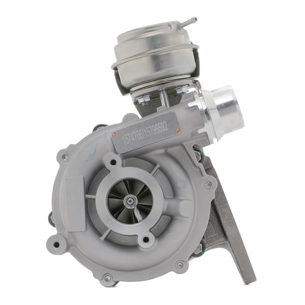 RENAULT 2.3 dCi 145 RWD (FV0E, FV0F, FV0T, FV10, FV12) 146 AG dyzelinas Turbokompresorius OEM 144104495R iš RIDEX internetu puikiomis kainomis