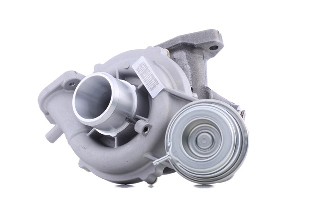 OEM Turbodmychadlo FIAT 1.6 D Multijet (263AXD1B, 263AXX1B) 105 HP Diesel 0861082 od RIDEX online za výborné ceny