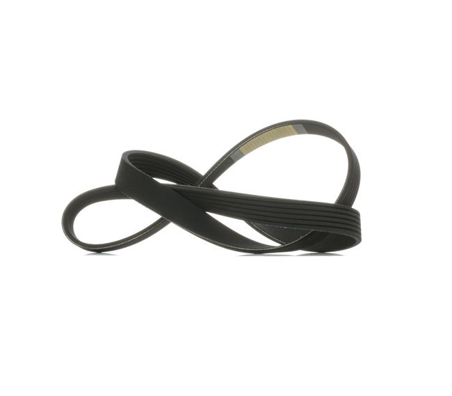 OEM Cinghia servizi FORD 1.6 Flexifuel 120 CV Benzina/Etanolo 1684909 da RIDEX online ad un ottimo prezzo