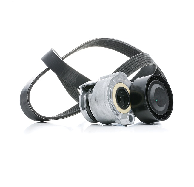 Compre Juego de correas trapeciales poli V 542R0553 original asequible comparable con números OEM online 117209663R