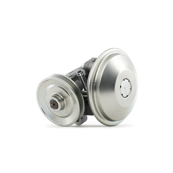 OEM Vacuümpomp rembekrachtiger PEUGEOT 2.5 D 73 PK Diesel 456516 van RIDEX online aan geweldige prijzen