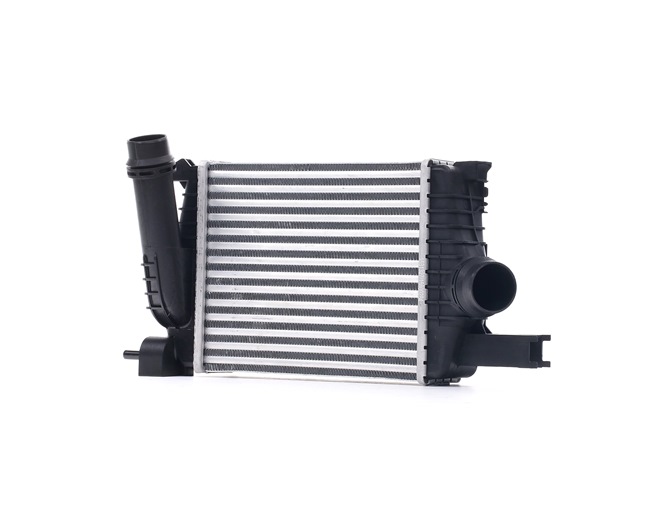 OEM Intercooler RENAULT 1.2 76 CV Benzina 144961354R da RIDEX online ad un ottimo prezzo