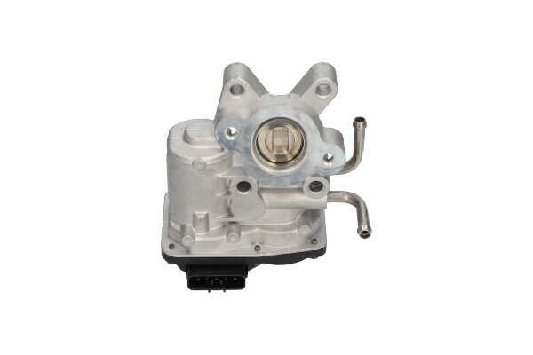 Köp KAVO PARTS EGR-ventil Produktnummer: EEG-8005 till det förmånliga priset av 2394,24 kr