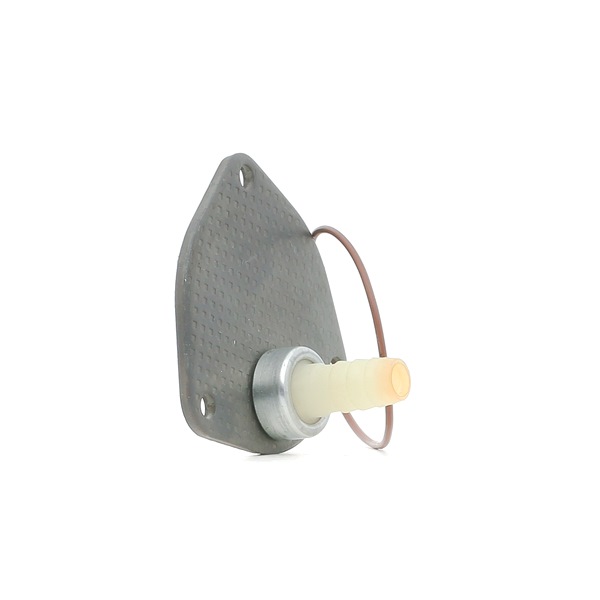OEM Vacuümpomp rembekrachtiger VW 1.9 D 61 PK Diesel 028145111 van RIDEX online aan geweldige prijzen