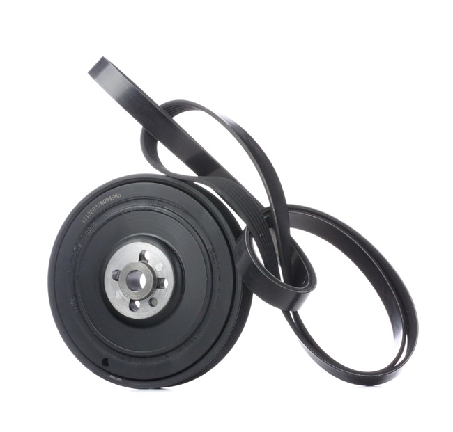 Acquista online Kit Cinghie Poly-V 542R0563 originale a buon mercato, comparabile con i numeri OEM 074105251AC