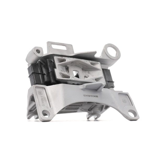 Koop online goedkoop originele Motorsteunlager 247E0603 vergelijkbaar met 112206729R OEM-nummers