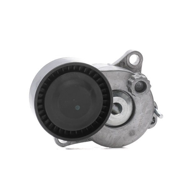 Köp billiga original Spännrulle, aggregatrem 310T0393 jämförbara med 6512001370 OEM nummer på nätet
