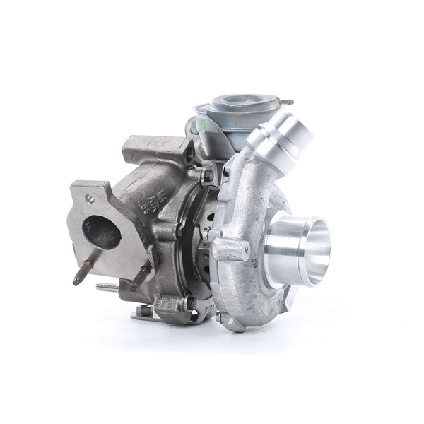 RENAULT 2.0 dCi (JK03, JK04, JK1C, JK1G, JK1J, JK1K) 173 AG dyzelinas Turbokompresorius OEM 7701478918 iš RIDEX REMAN internetu puikiomis kainomis