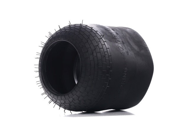 Cumpărați online Pernă de aer SKASS-1850059 original/ă și la un preț mic, compatibil/ă cu nr. OEM 0220024400
