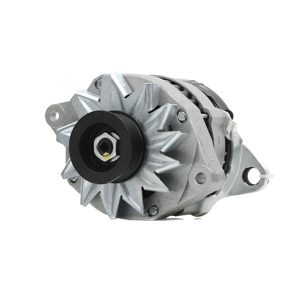 OEM Dynamo / Alternator RENAULT 2.0 4x4 80 PK Benzine 541596 van RIDEX REMAN online aan geweldige prijzen