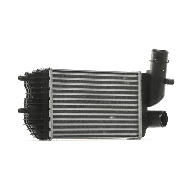 Intercooler OEM CITROËN 2.5 TD 4x4 103 CH Diesel 0384E4 de RIDEX en ligne à prix imbattables