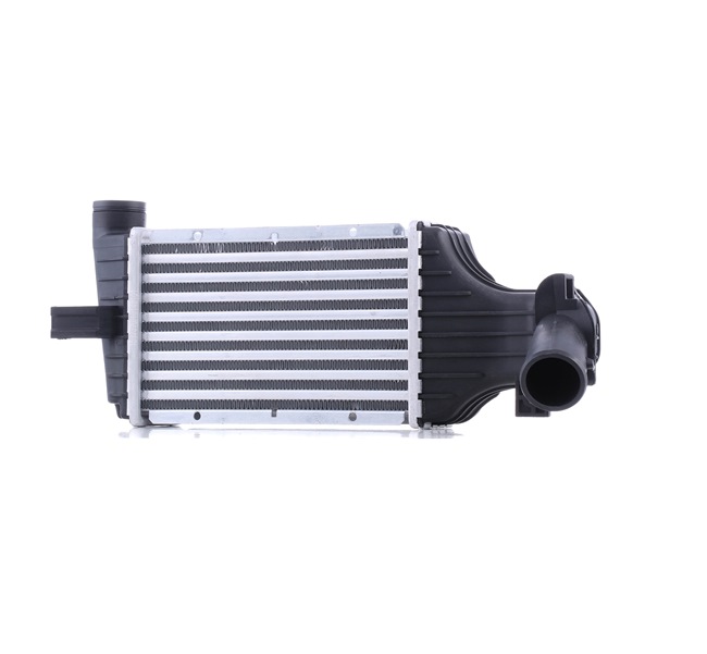 OEM Chladič plniaceho vzduchu OPEL 2.2 DTI (F08, F48) 117 HP nafta 6302052 od RIDEX online za výborné ceny