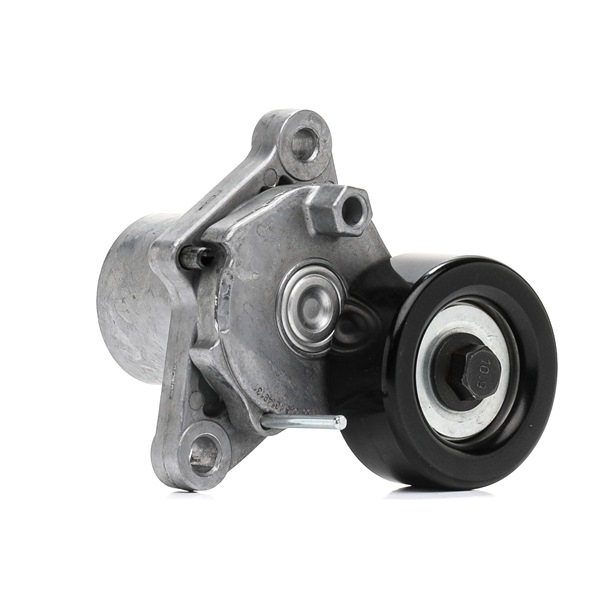 OEM Rolă întinzătoare Hyundai I20 Coupe 2016 252812A200, 252812A000, 252812A100 RIDEX