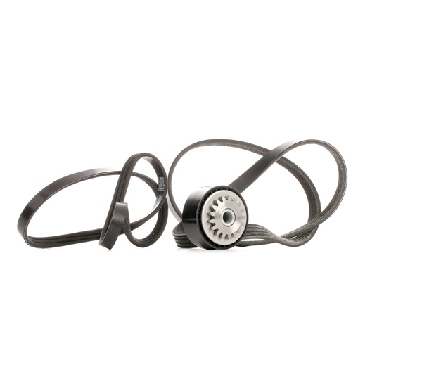 OEM Poly V-riem set RENAULT 1.2 16V 75 PK Benzine van STARK online aan geweldige prijzen