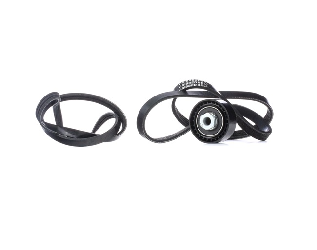 OEM Poly V-riem set RENAULT 1.2 16V 75 PK Benzine van RIDEX online aan geweldige prijzen